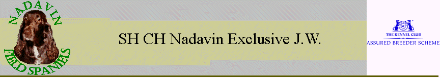 SH CH Nadavin Exclusive J.W.