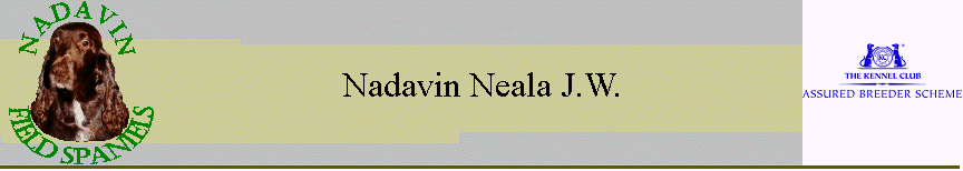 Nadavin Neala J.W.