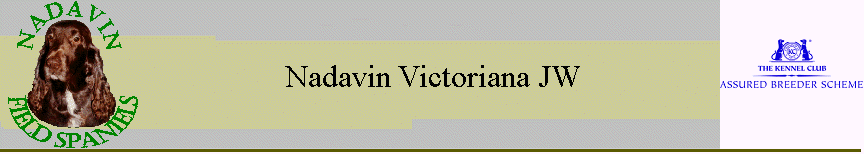 Nadavin Victoriana JW