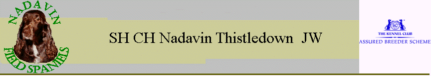 SH CH Nadavin Thistledown  JW