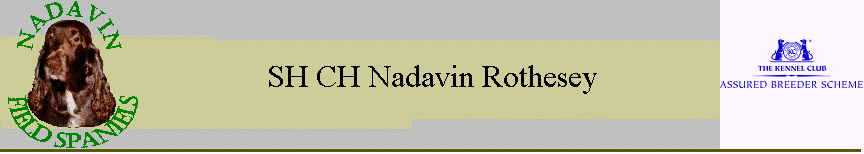 SH CH Nadavin Rothesey