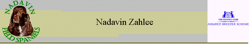 Nadavin Zahlee