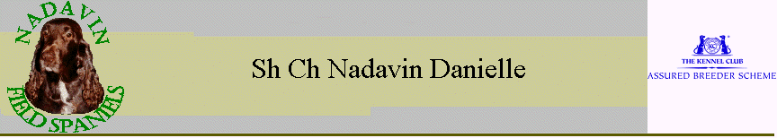 Sh Ch Nadavin Danielle