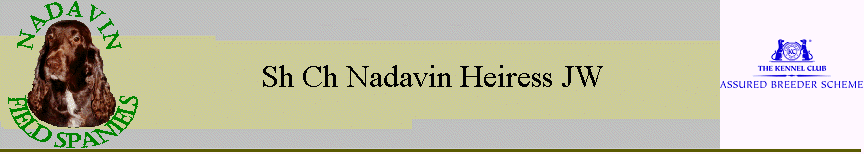 Sh Ch Nadavin Heiress JW