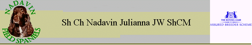 Sh Ch Nadavin Julianna JW ShCM