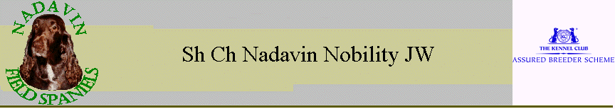 Sh Ch Nadavin Nobility JW
