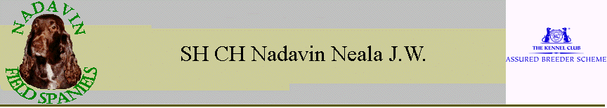 SH CH Nadavin Neala J.W.