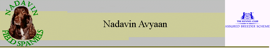 Nadavin Avyaan