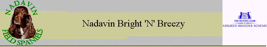 Nadavin Bright 'N' Breezy