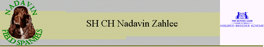 SH CH Nadavin Zahlee